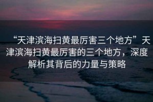 “天津濱海掃黃最厲害三個地方”天津濱海掃黃最厲害的三個地方，深度解析其背后的力量與策略
