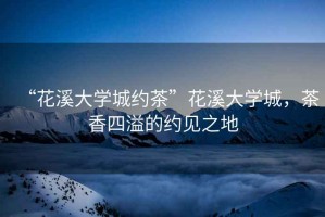“花溪大學(xué)城約茶”花溪大學(xué)城，茶香四溢的約見之地