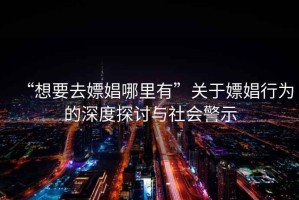 “想要去嫖娼哪里有”關于嫖娼行為的深度探討與社會警示