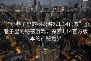 “小巷子里的秘密游戲1.14官方”小巷子里的秘密游戲，探索1.14官方版本的神秘世界
