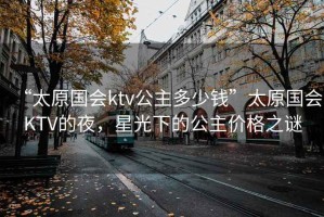 “太原國會ktv公主多少錢”太原國會KTV的夜，星光下的公主價格之謎