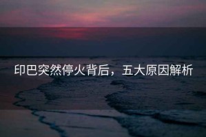 印巴突然停火背后，五大原因解析