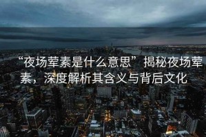 “夜場葷素是什么意思”揭秘夜場葷素，深度解析其含義與背后文化