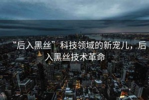 “后入黑絲”科技領域的新寵兒，后入黑絲技術革命
