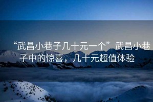 “武昌小巷子幾十元一個(gè)”武昌小巷子中的驚喜，幾十元超值體驗(yàn)