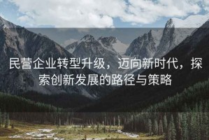 民營企業轉型升級，邁向新時代，探索創新發展的路徑與策略