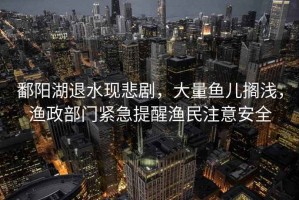 鄱陽湖退水現悲劇，大量魚兒擱淺，漁政部門緊急提醒漁民注意安全