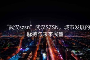“武漢szsn”武漢SZSN，城市發(fā)展的脈搏與未來展望