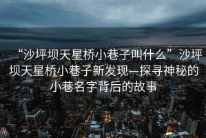 “沙坪壩天星橋小巷子叫什么”沙坪壩天星橋小巷子新發(fā)現(xiàn)—探尋神秘的小巷名字背后的故事