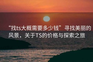 “找ts大概需要多少錢”尋找美麗的風景，關于TS的價格與探索之旅