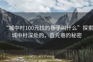 “城中村100元找的巷子叫什么”探索城中村深處的，百元巷的秘密