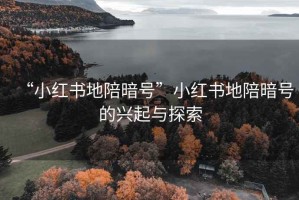 “小紅書地陪暗號”小紅書地陪暗號的興起與探索