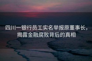四川一銀行員工實名舉報原董事長，揭露金融腐敗背后的真相