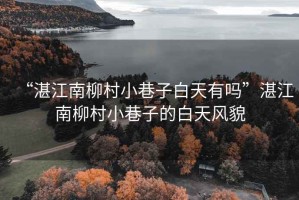 “湛江南柳村小巷子白天有嗎”湛江南柳村小巷子的白天風貌