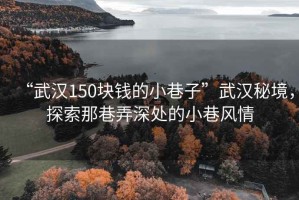 “武漢150塊錢(qián)的小巷子”武漢秘境，探索那巷弄深處的小巷風(fēng)情