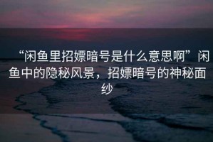 “閑魚里招嫖暗號(hào)是什么意思啊”閑魚中的隱秘風(fēng)景，招嫖暗號(hào)的神秘面紗