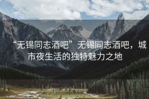 “無錫同志酒吧”無錫同志酒吧，城市夜生活的獨特魅力之地