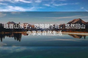 峨眉山猴子，吃飽就下班，悠然回山中享受自然生活