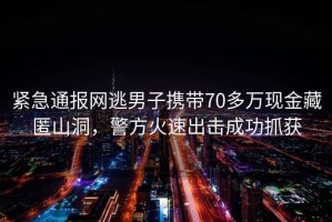 緊急通報(bào)網(wǎng)逃男子攜帶70多萬現(xiàn)金藏匿山洞，警方火速出擊成功抓獲