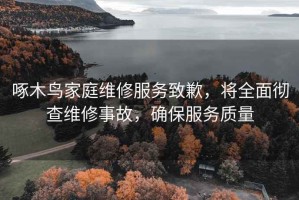 啄木鳥家庭維修服務(wù)致歉，將全面徹查維修事故，確保服務(wù)質(zhì)量
