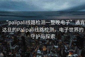 “palipali線路檢測(cè)一整晚電子”通宵達(dá)旦的Palipali線路檢測(cè)，電子世界的守護(hù)與探索