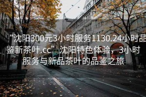 “沈陽300元3小時服務1130.24小時品鑒新茶葉.cc”沈陽特色體驗，3小時服務與新品茶葉的品鑒之旅