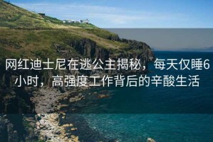 網(wǎng)紅迪士尼在逃公主揭秘，每天僅睡6小時，高強度工作背后的辛酸生活