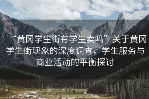 “黃岡學生街有學生賣嗎”關于黃岡學生街現象的深度調查，學生服務與商業活動的平衡探討