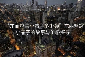 “東麗雞窩小巷子多少錢”東麗雞窩小巷子的故事與價(jià)格探尋
