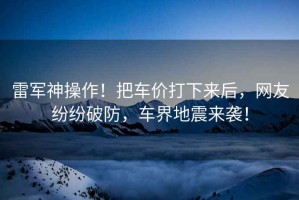 雷軍神操作！把車價打下來后，網友紛紛破防，車界地震來襲！