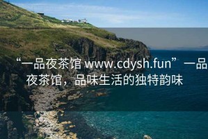 “一品夜茶館 www.cdysh.fun”一品夜茶館，品味生活的獨特韻味