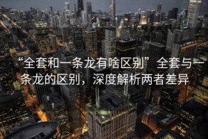 “全套和一條龍有啥區別”全套與一條龍的區別，深度解析兩者差異