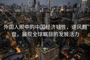 外國(guó)人眼中的中國(guó)經(jīng)濟(jì)韌性，逆風(fēng)翻盤(pán)，展現(xiàn)全球矚目的發(fā)展活力