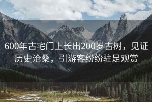 600年古宅門上長出200歲古樹，見證歷史滄桑，引游客紛紛駐足觀賞