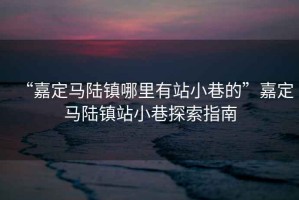 “嘉定馬陸鎮哪里有站小巷的”嘉定馬陸鎮站小巷探索指南