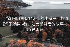 “衡陽哪里有站大街的小巷子”探尋衡陽隱秘小巷，站大街背后的故事與歷史印記