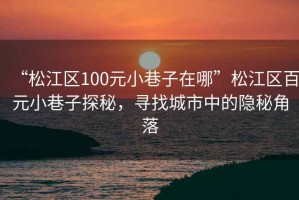 “松江區(qū)100元小巷子在哪”松江區(qū)百元小巷子探秘，尋找城市中的隱秘角落