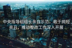 中央指導組組長親自示范，敢于揭短亮丑，推動整改工作深入開展