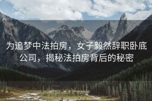 為追夢中法拍房，女子毅然辭職臥底公司，揭秘法拍房背后的秘密