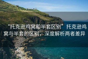 “托克遜雞窩和半套區(qū)別”托克遜雞窩與半套的區(qū)別，深度解析兩者差異