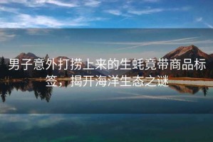 男子意外打撈上來的生蠔竟帶商品標簽，揭開海洋生態之謎