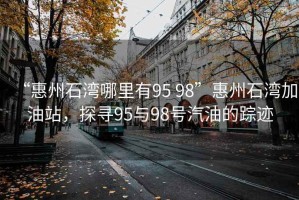 “惠州石灣哪里有95 98”惠州石灣加油站，探尋95與98號汽油的蹤跡