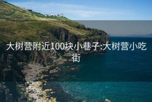 大樹營(yíng)附近100塊小巷子:大樹營(yíng)小吃街