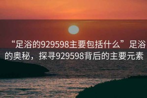 “足浴的929598主要包括什么”足浴的奧秘，探尋929598背后的主要元素