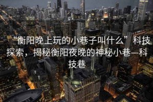 “衡陽晚上玩的小巷子叫什么”科技探索，揭秘衡陽夜晚的神秘小巷—科技巷