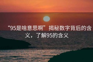 “95是啥意思啊”揭秘數字背后的含義，了解95的含義