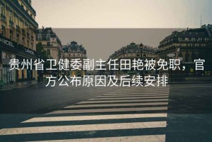 貴州省衛健委副主任田艷被免職，官方公布原因及后續安排