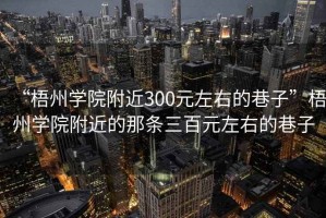 “梧州學(xué)院附近300元左右的巷子”梧州學(xué)院附近的那條三百元左右的巷子