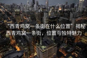 “西青雞窩一條街在什么位置”揭秘西青雞窩一條街，位置與獨特魅力