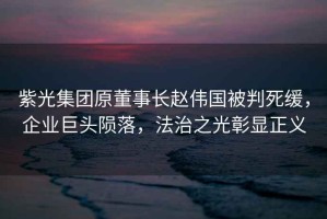紫光集團原董事長趙偉國被判死緩，企業巨頭隕落，法治之光彰顯正義
